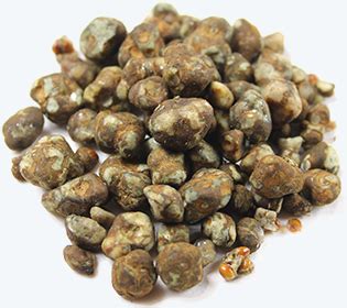 Order Magic Truffles